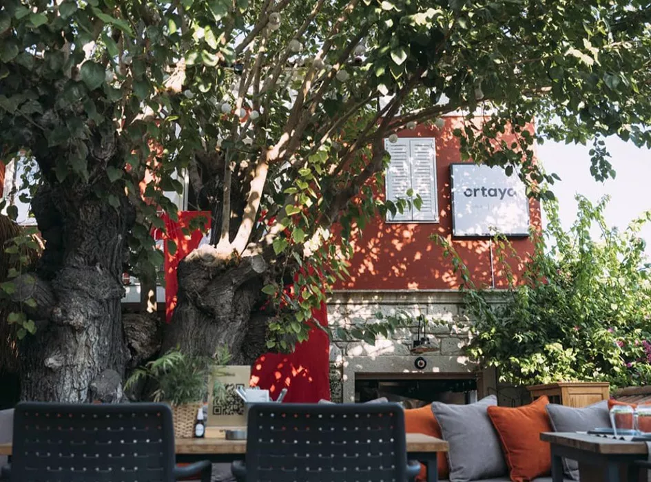 Ortaya Alaat Restaurant Izmir